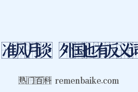 准风月谈·外国也有反义词是什么意思的图片